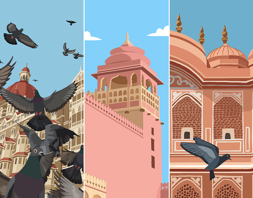 Exploring India Through Art