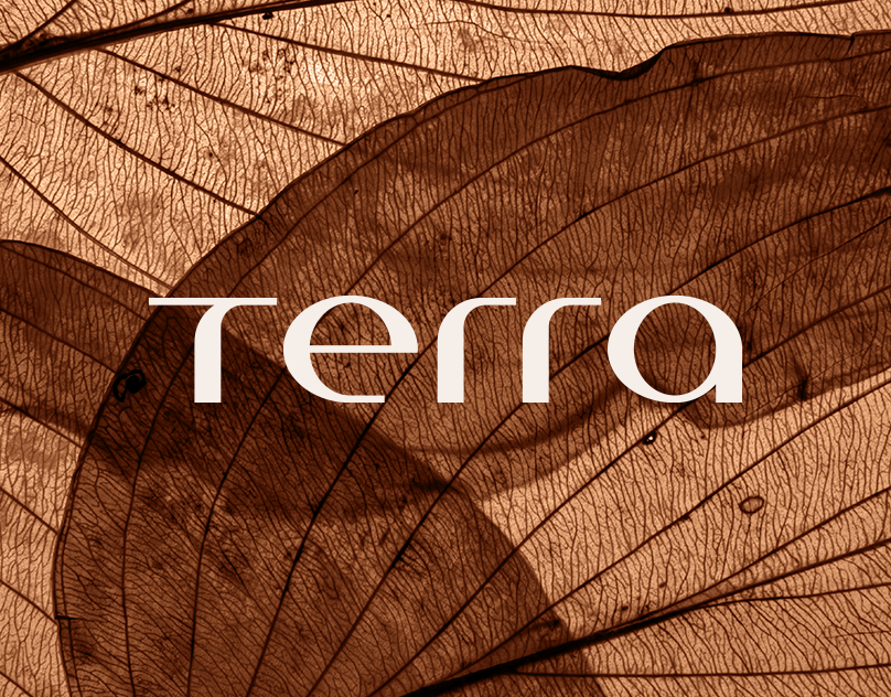 Grupo Terra