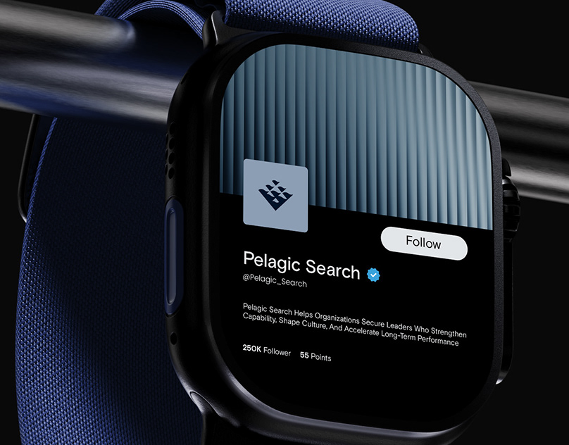 Pelagic Search Visual Identity
