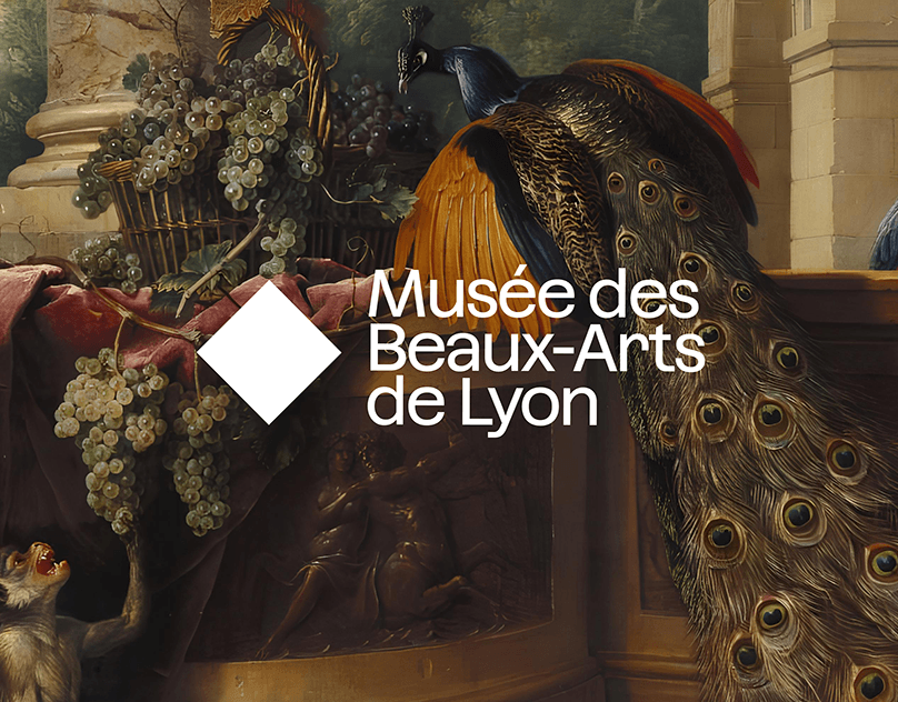 Le Musée des Beaux-Arts de Lyon | Rebranding