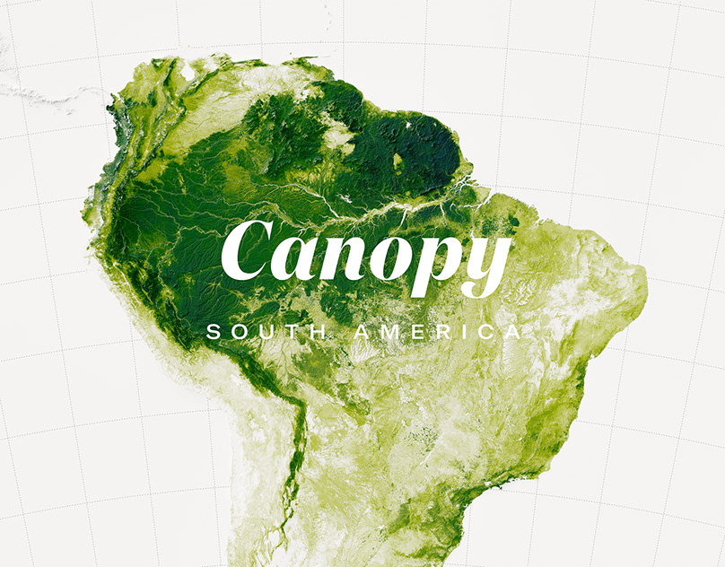 Map of Tree Canopy in South America