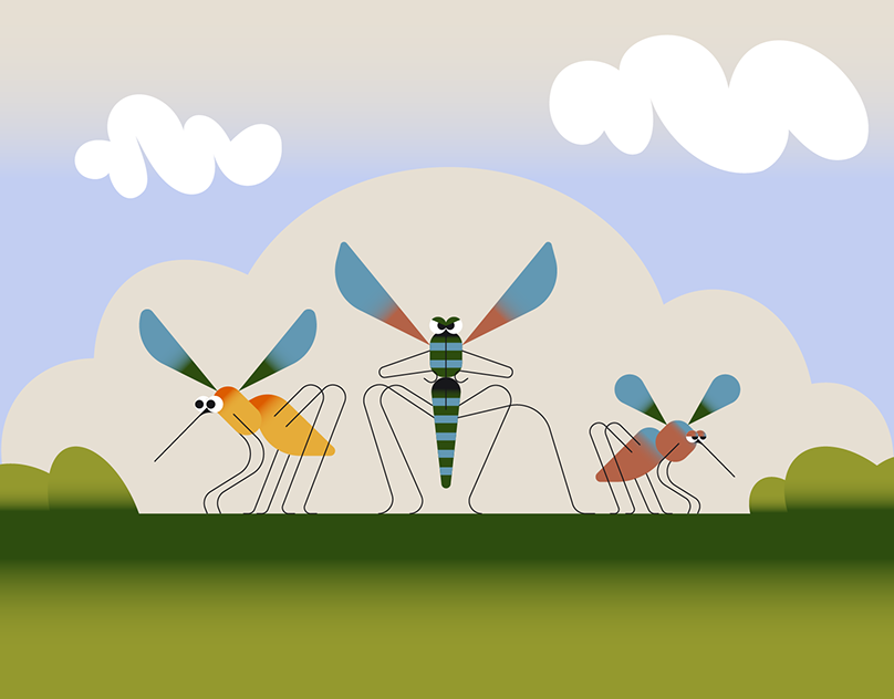 Spuntiamola - How to deal with mosquitoes