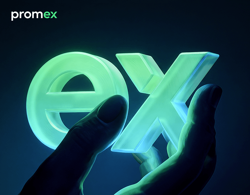 Promex Fintech: Designing Institutional Trust