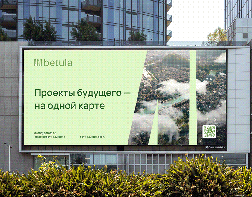 Betula | Логотип и фирменный стиль
