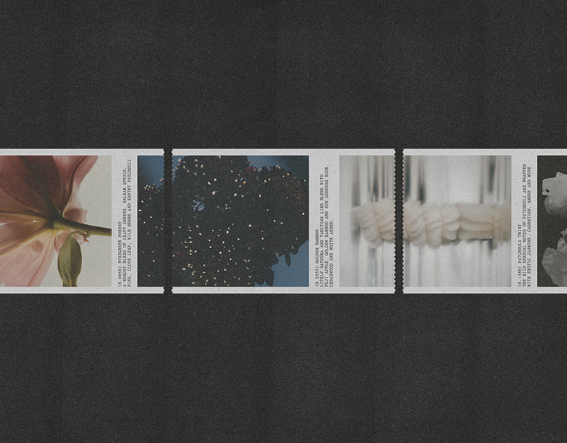 Uniscent – Visual Identity